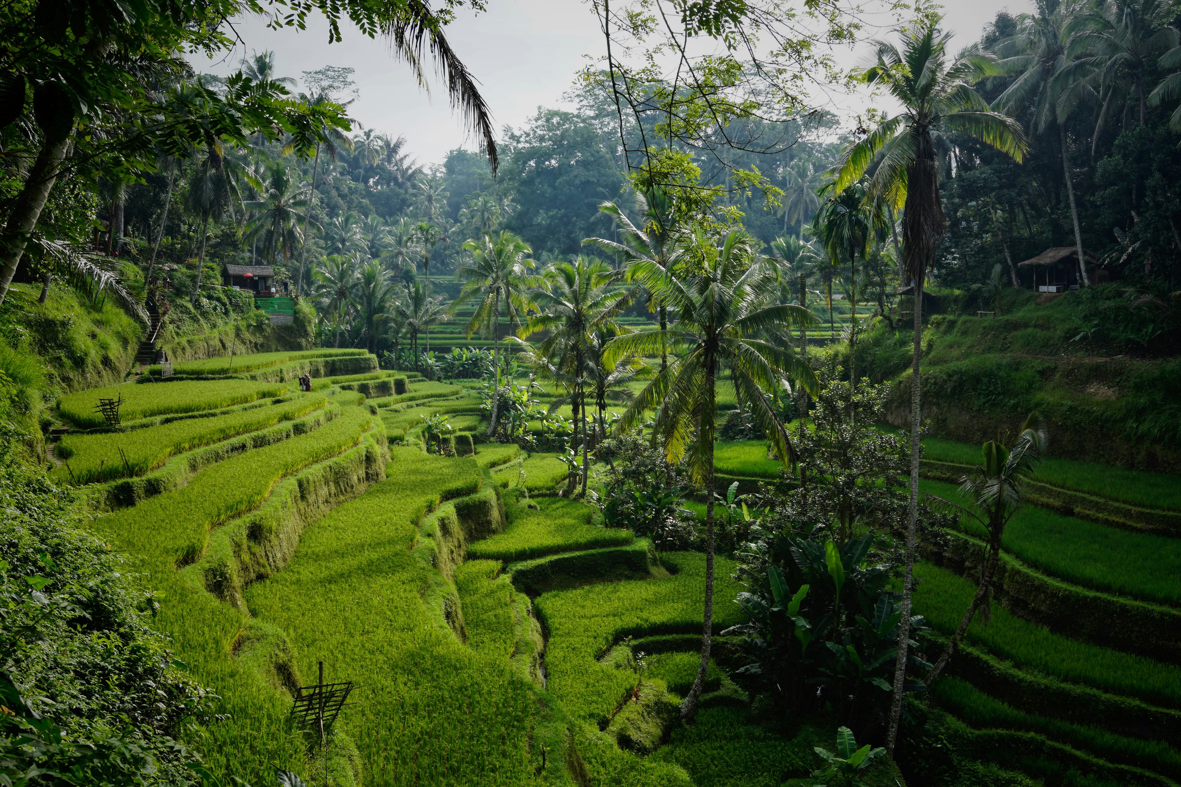 Traditional Bali Temple